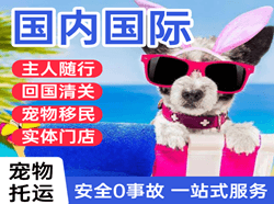 呼和浩特机场物流国际宠物托运 【国